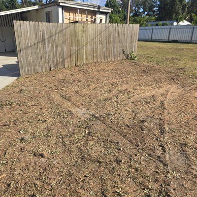 Professional land clearing work showcase 3